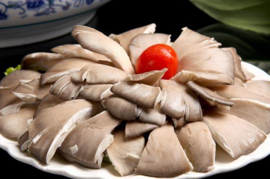 肾炎可以吃平菇吗?吃平菇有哪些好处?