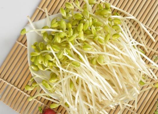 绿豆芽怎么保存过夜?豆芽的根可以吃吗