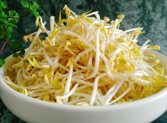 绿豆芽怎么保存过夜?豆芽的根可以吃吗