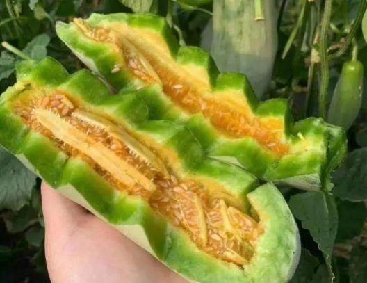 羊角蜜甜瓜怎么吃?羊角蜜要去皮去籽吗