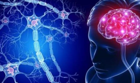 视神经萎缩有哪些分类?视神经萎缩有哪些危害?
