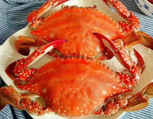 海螃蟹蒸多久是最佳时间?海蟹蒸的时候盖子开了是死的吗 海螃蟹蒸多久是最佳时间?海蟹蒸的时候盖子开了是死的吗