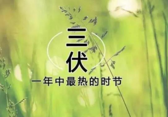 今年三伏天会很热吗?三伏天吃什么好排湿气 今年三伏天会很热吗?三伏天吃什么好排湿气