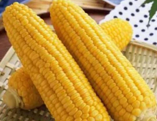 玉米什么时候吃最比较好?糯米玉米和甜玉米哪个减肥 玉米什么时候吃最比较好?糯米玉米和甜玉米哪个减肥