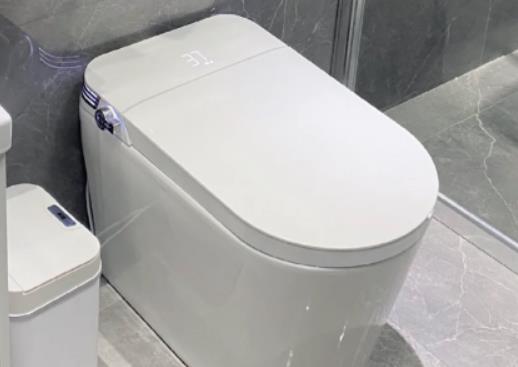 马桶水箱不进水如何处理?自动马桶盖怎么使用 马桶水箱不进水如何处理?自动马桶盖怎么使用