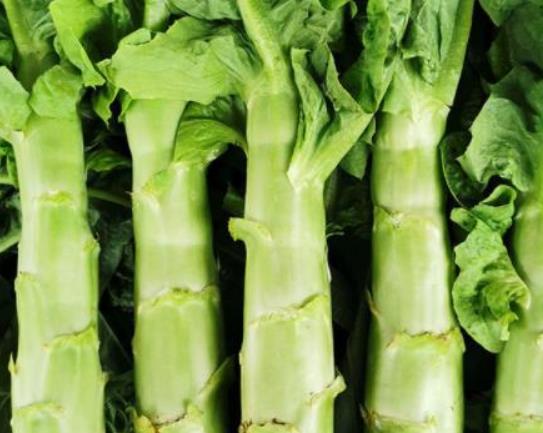 莴笋发苦能吃吗?莴笋尖是不是油麦菜? 莴笋发苦能吃吗?莴笋尖是不是油麦菜?
