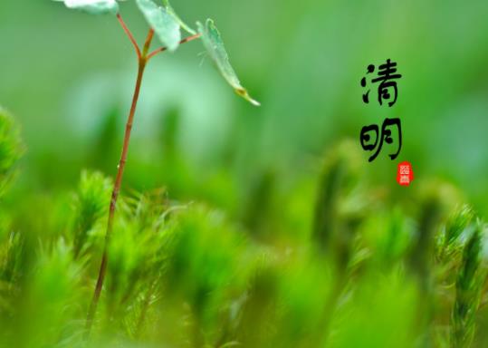 清明节适不适合去五台山?清明节去五台山有忌讳吗