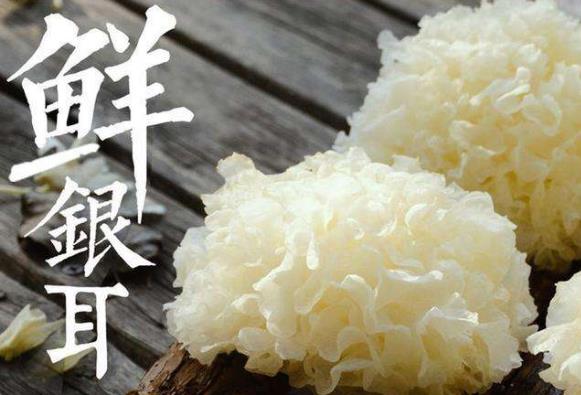 新鲜银耳有毒吗?新鲜银耳怎么去毒?银耳中毒怎么办?